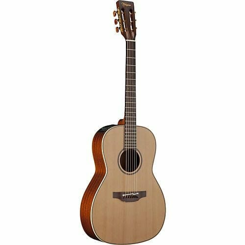 Takamine P3NY