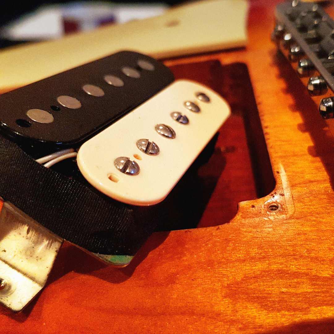 Zebra style (black and white) humbucking electric guitar pickups that are out of the body cavity of an orange electric guitar.