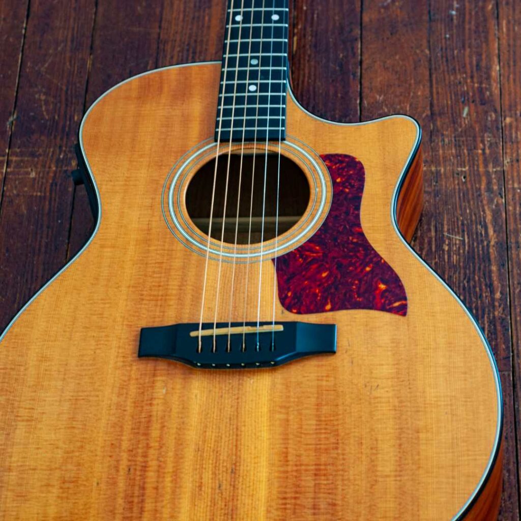 This is a close up photograph of an acoustic guitar with a venetian cutaway.